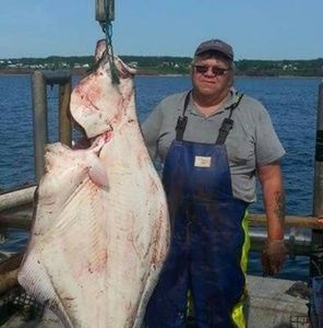 Meet your Posher, Vincent